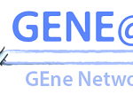 gene@home logo